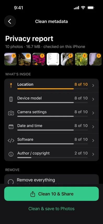 Stripix Clean metadata screen