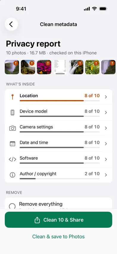 Stripix Clean metadata screen