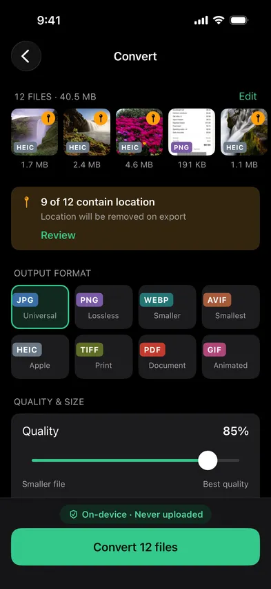 Stripix Convert screen