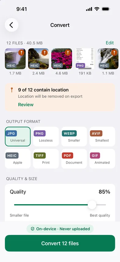 Stripix Convert screen
