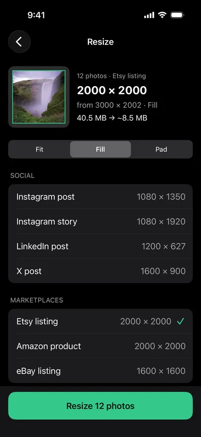 Stripix Resize screen