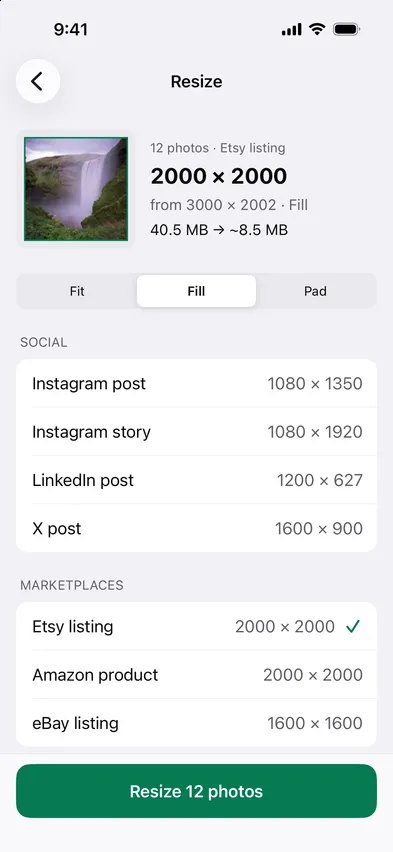 Stripix Resize screen