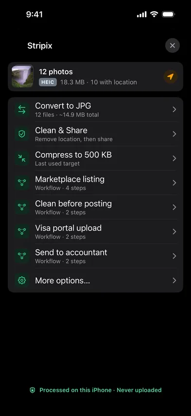 Stripix Share Sheet screen