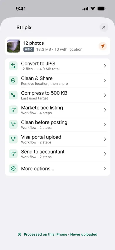Stripix Share Sheet screen