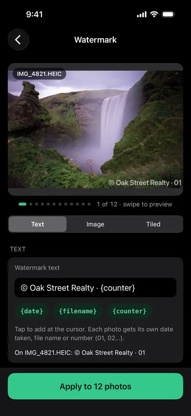 Stripix Watermark screen