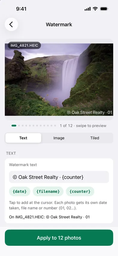 Stripix Watermark screen